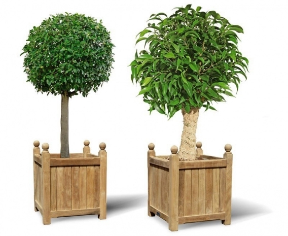 Set of 2 Large Garden Planters, Versailles Planters