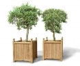 Set of 2 Extra-Large Garden Planters, Versailles Planters