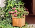 Large Garden Planter, Teak Versailles Planter