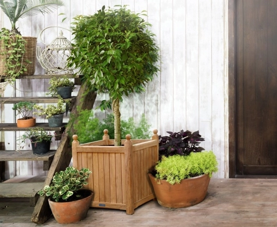 希少 large wooden pot Extra-Large Garden Planter, Teak Versailles Planter