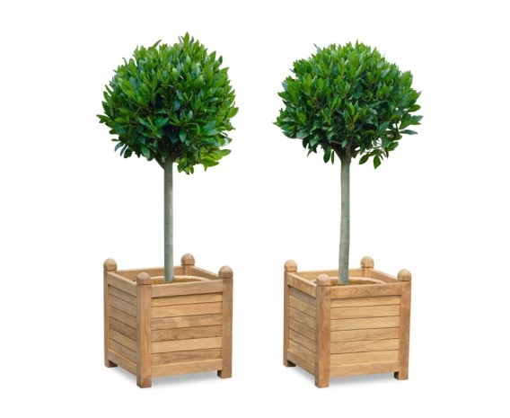 Set of 2 Zen Large Garden Planters, Teak