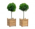 Set of 2 Zen Large Garden Planters, Teak