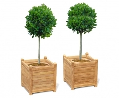 Set of 2 Zen Extra Large Garden Planters, Teak