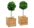 Set of 2 Zen Extra Large Garden Planters, Teak