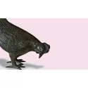 Animal Garden Ornaments | Garden Décor