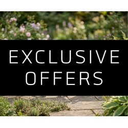 Exclusive Offers on Teak Garden Furniture