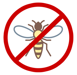 stop wasps eating teak furniture