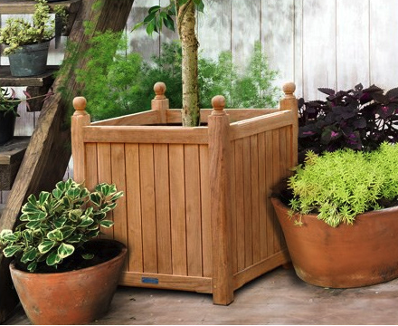 Carved Planter