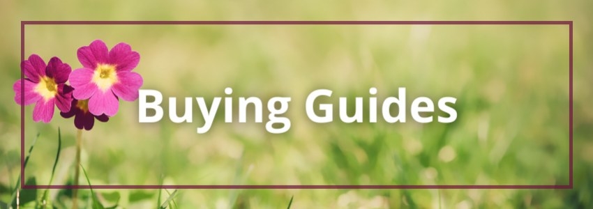 Buying Guides